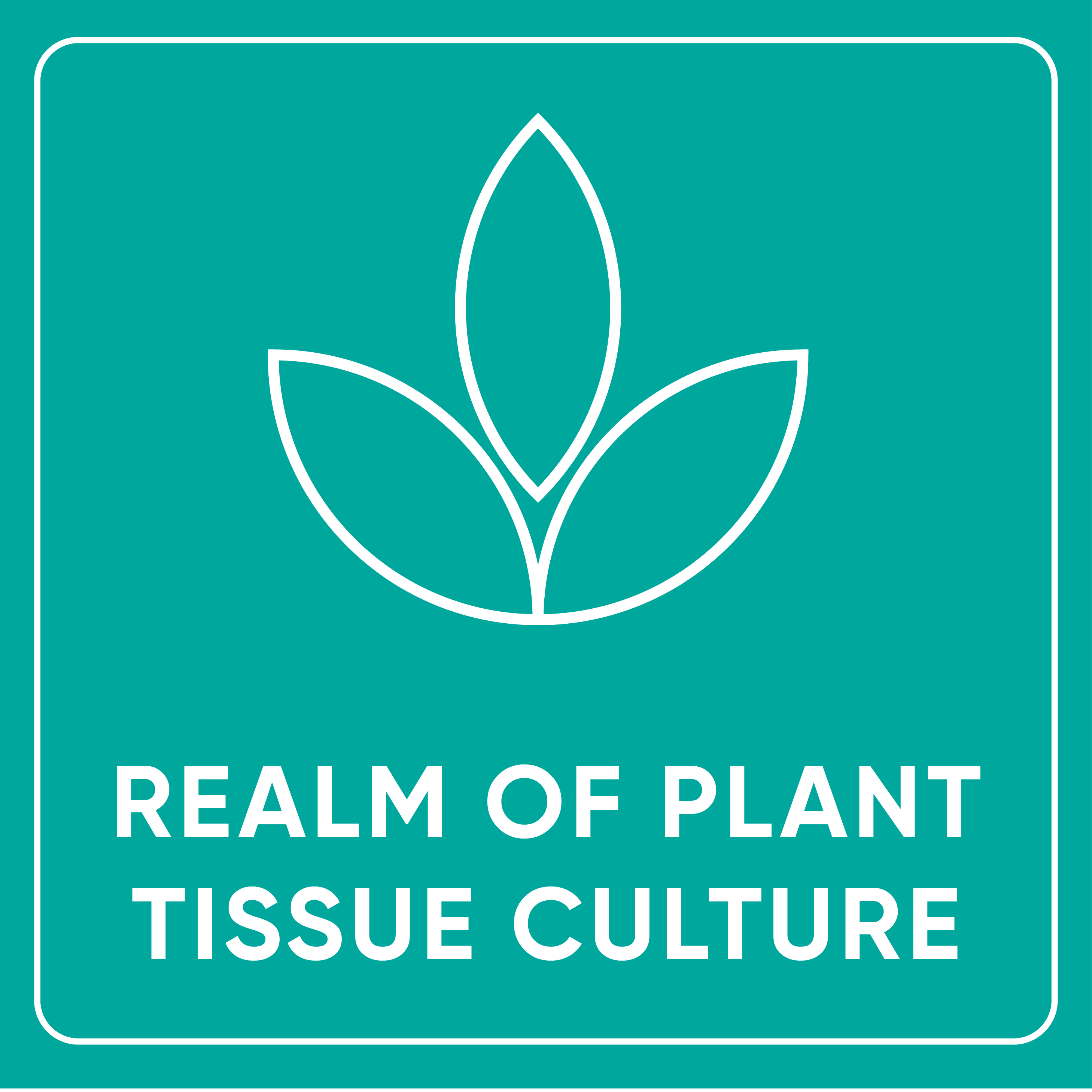 Exploring Plant Tissue Culture