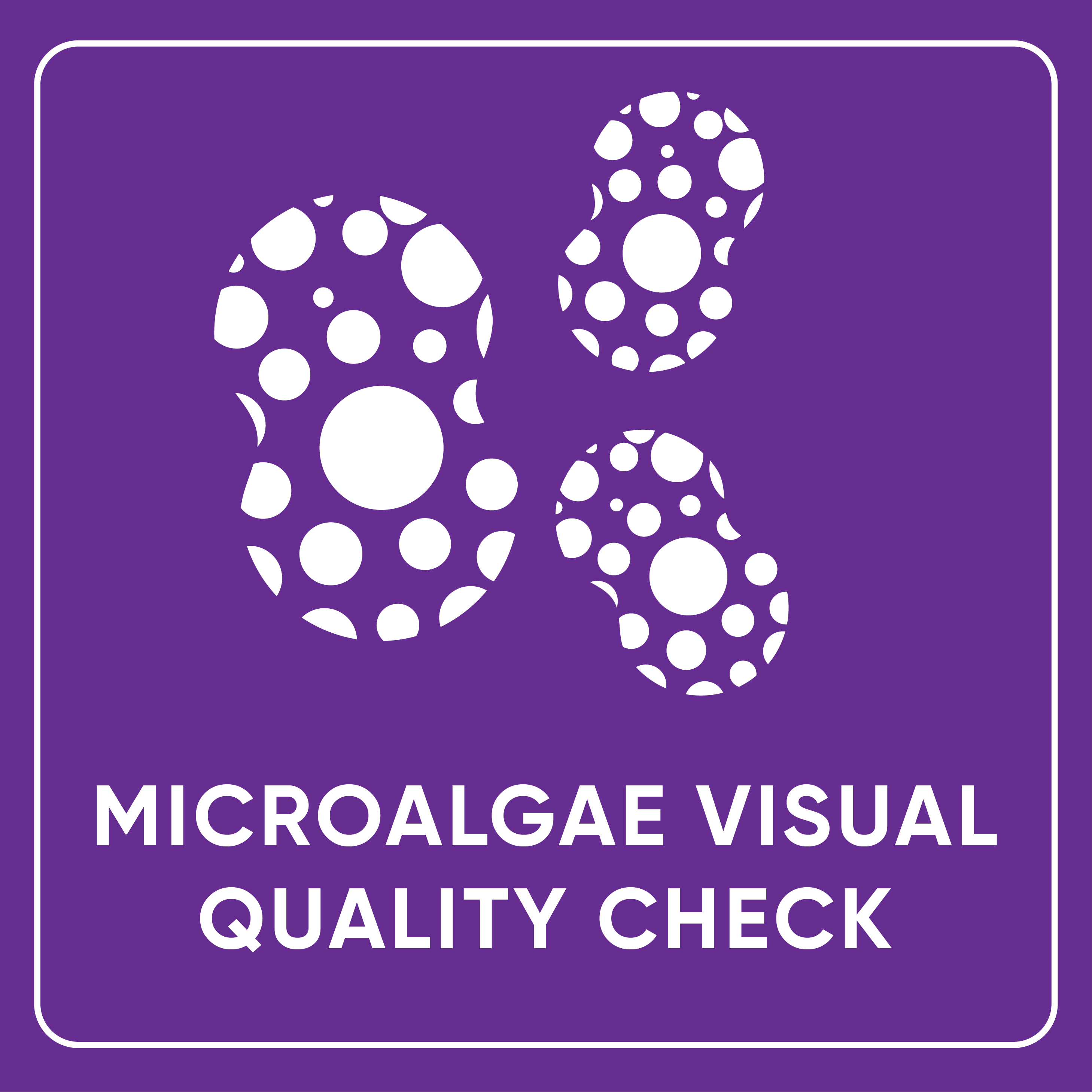 Microalgae Visual Quality Check