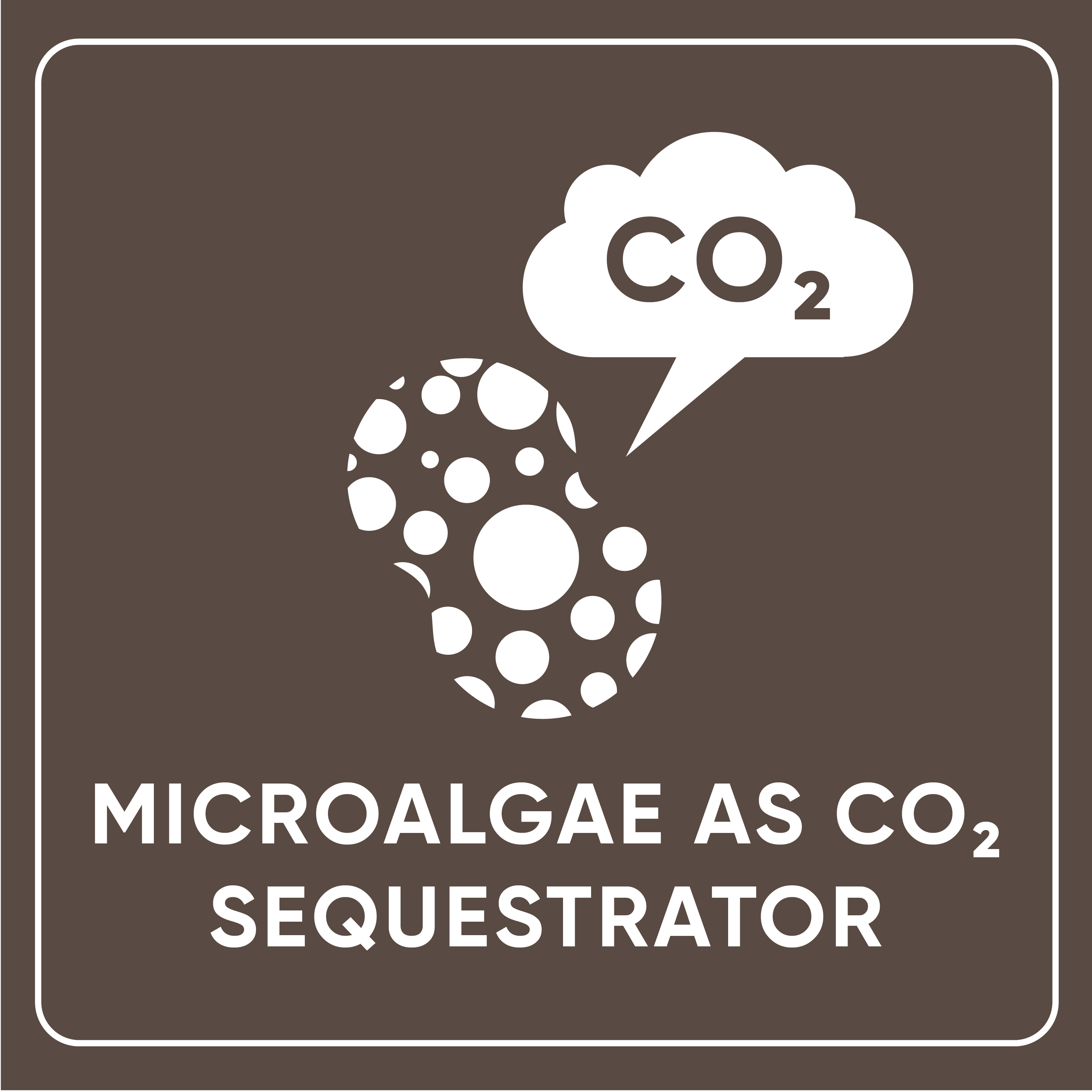 Microalgae as CO2 Sequestrator
