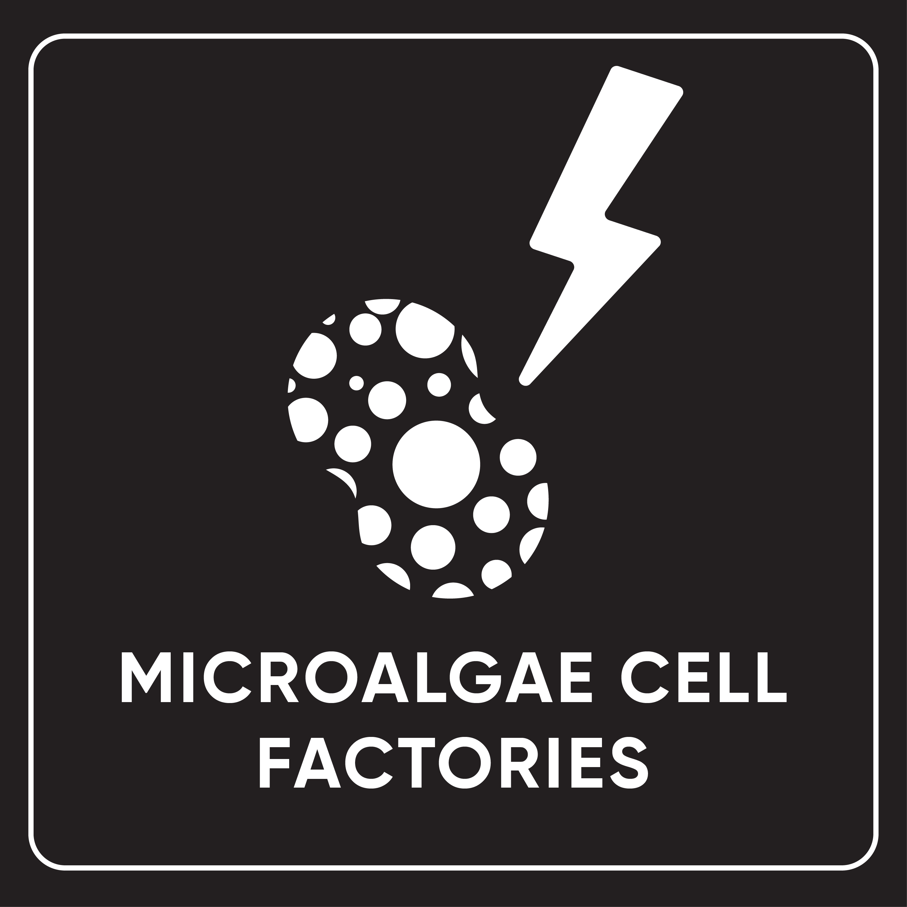 Microalgae Cell Factories