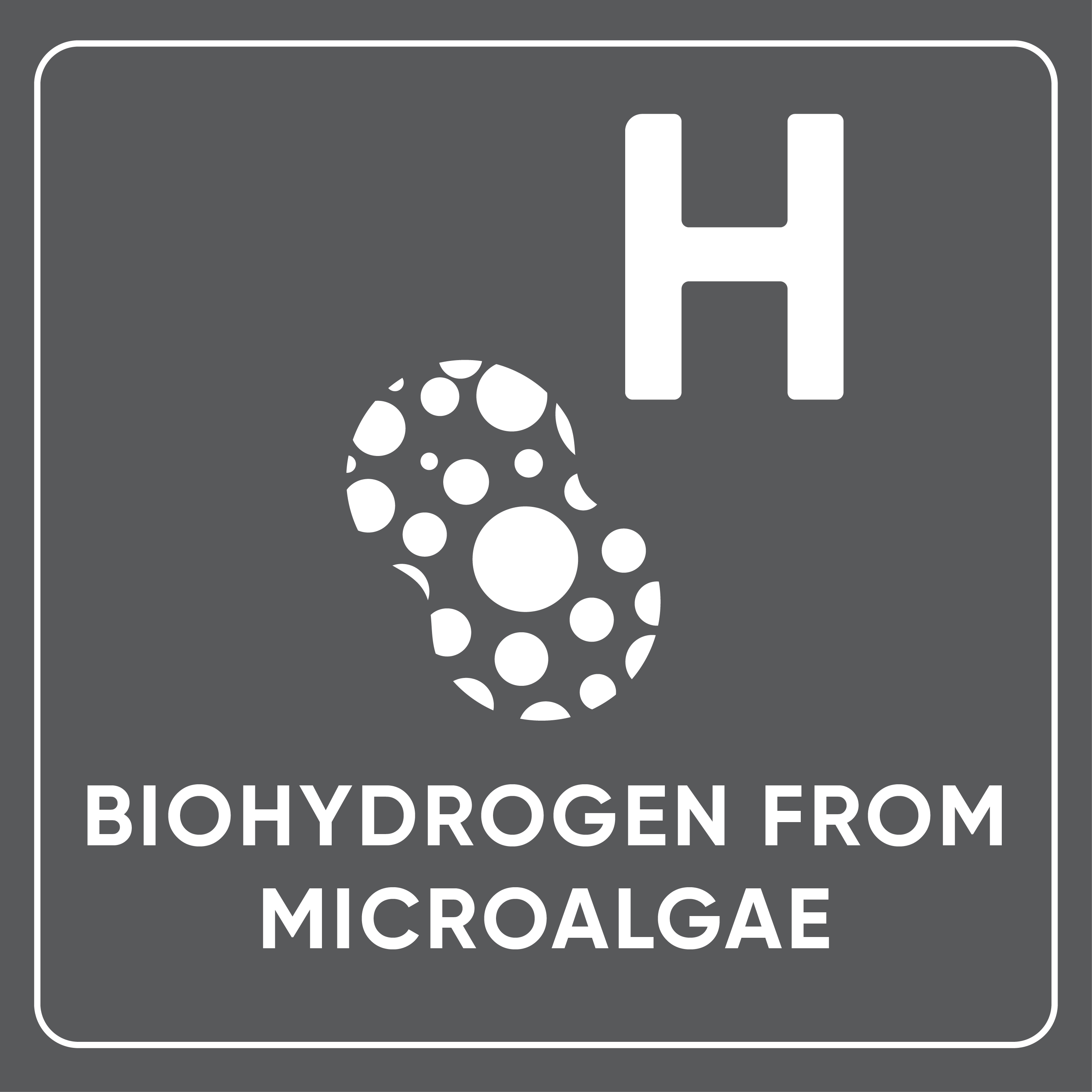 Biohydrogen from Microalgae
