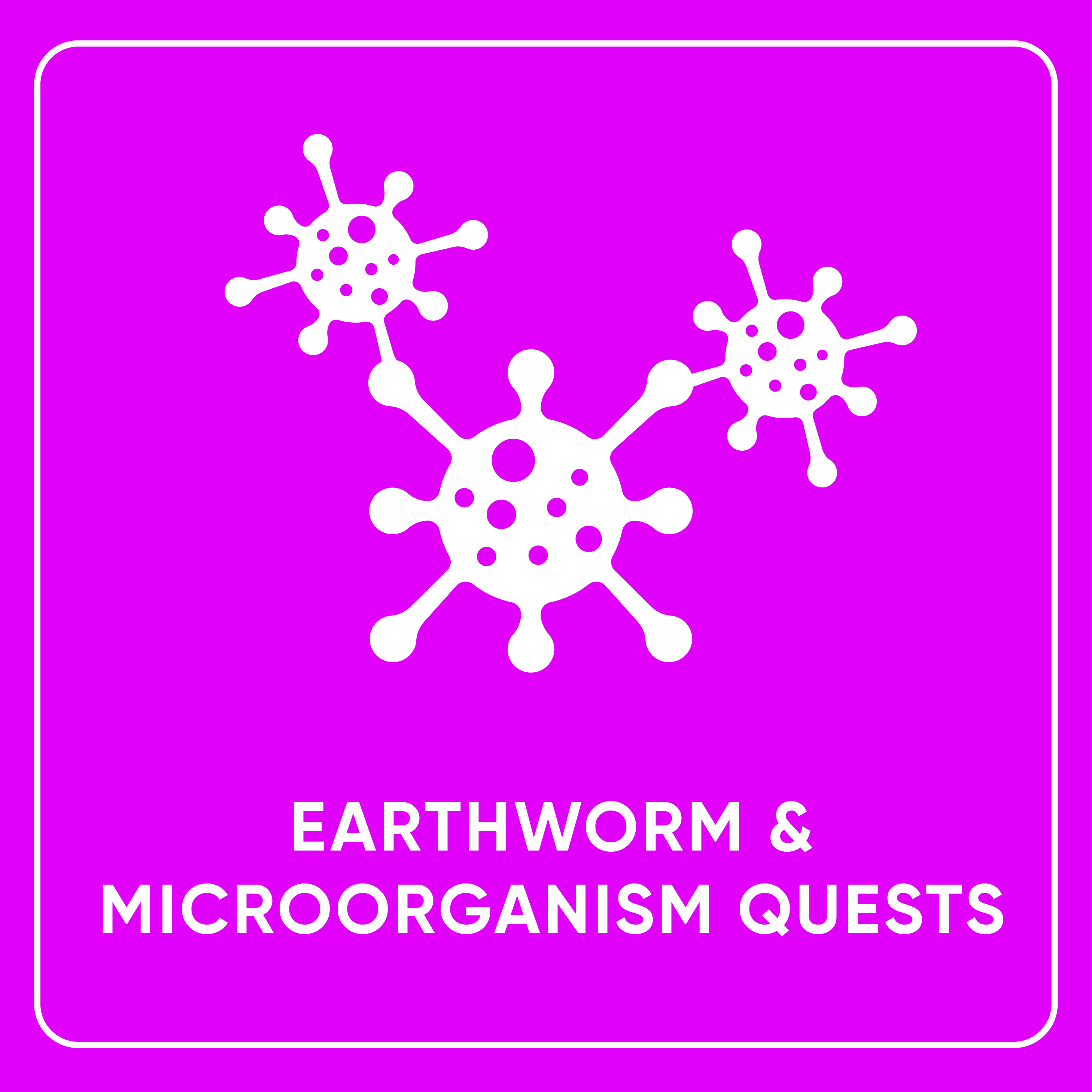 Earthworm and Microorganism Quests