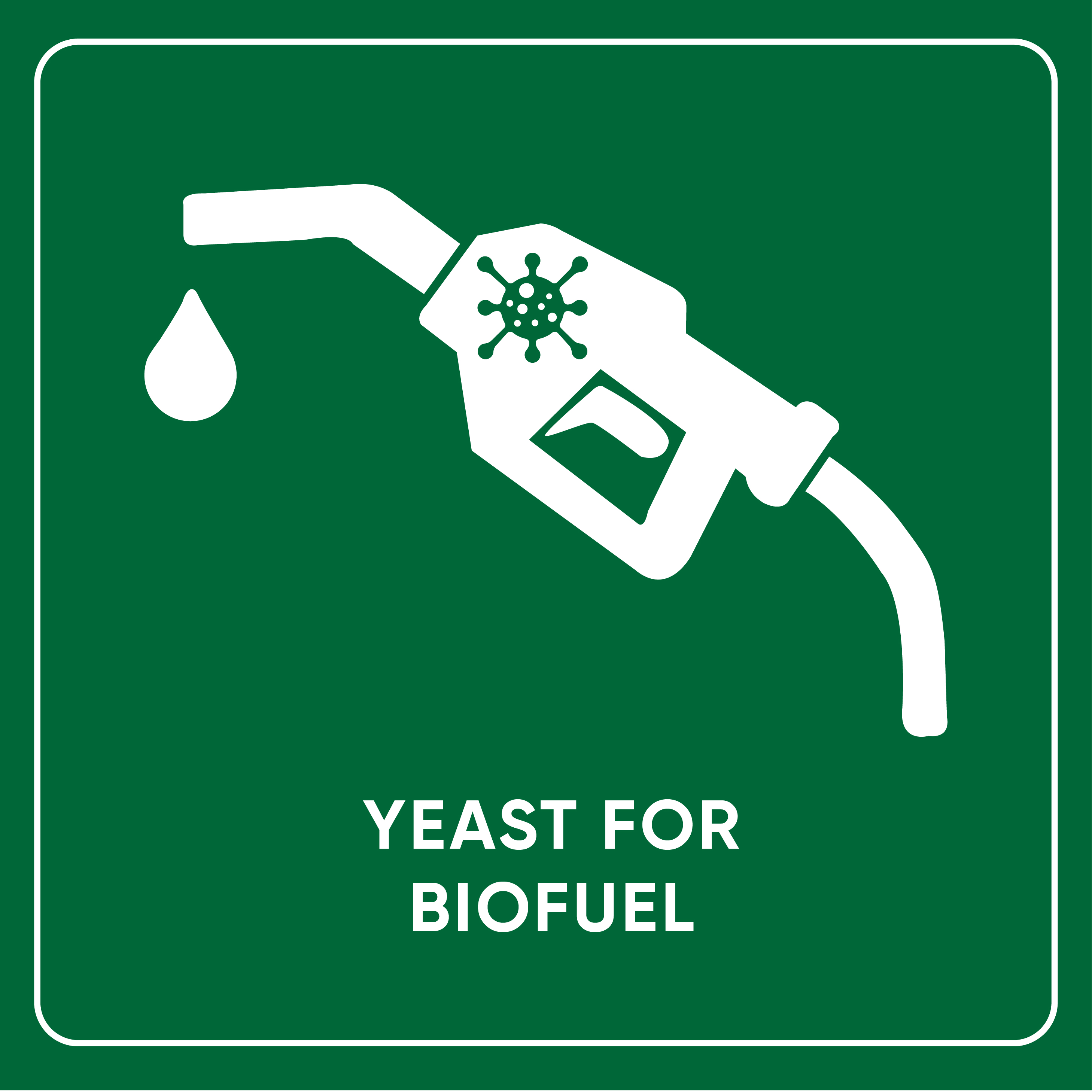 Yeast for Biofuel