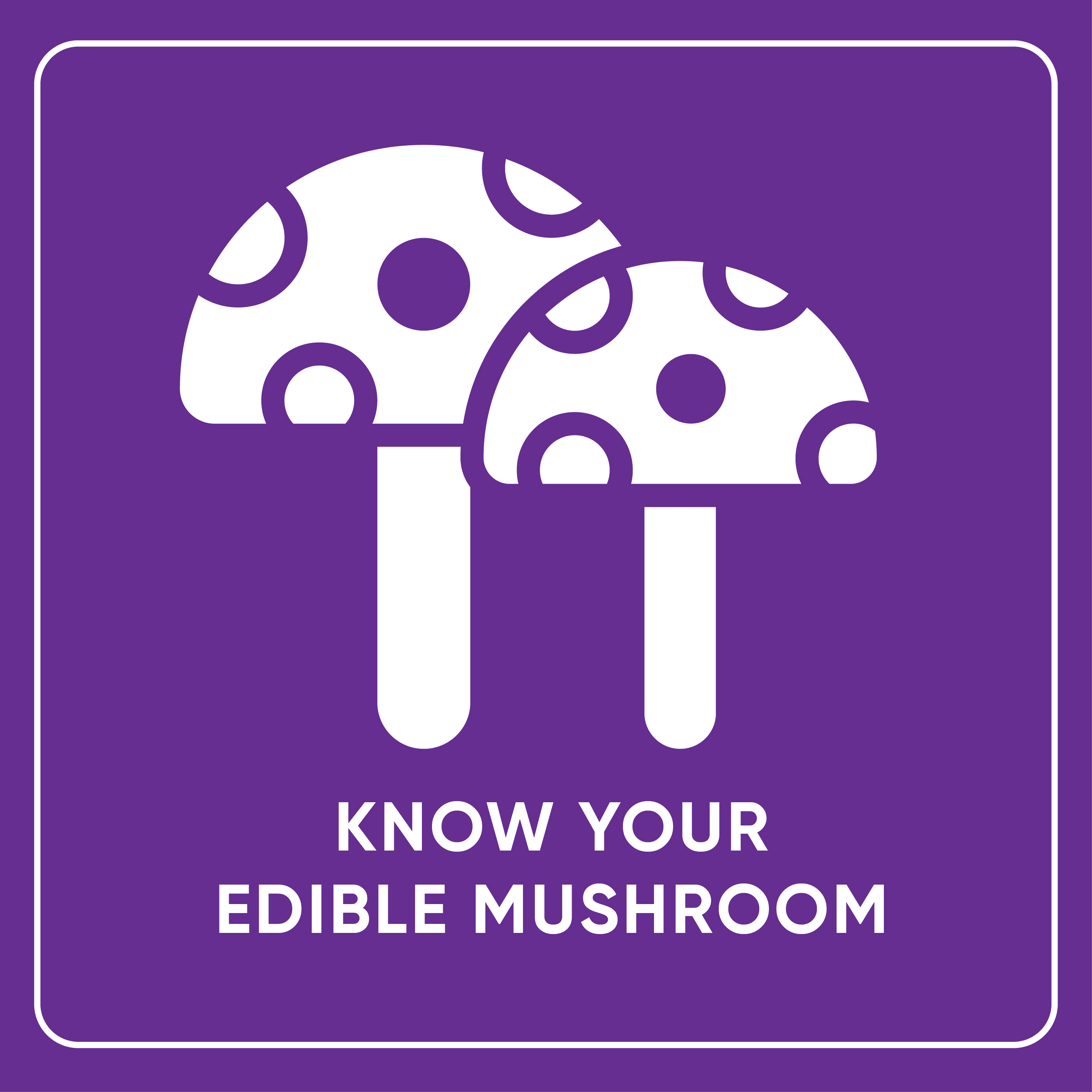 Know your Edible Mushrooms