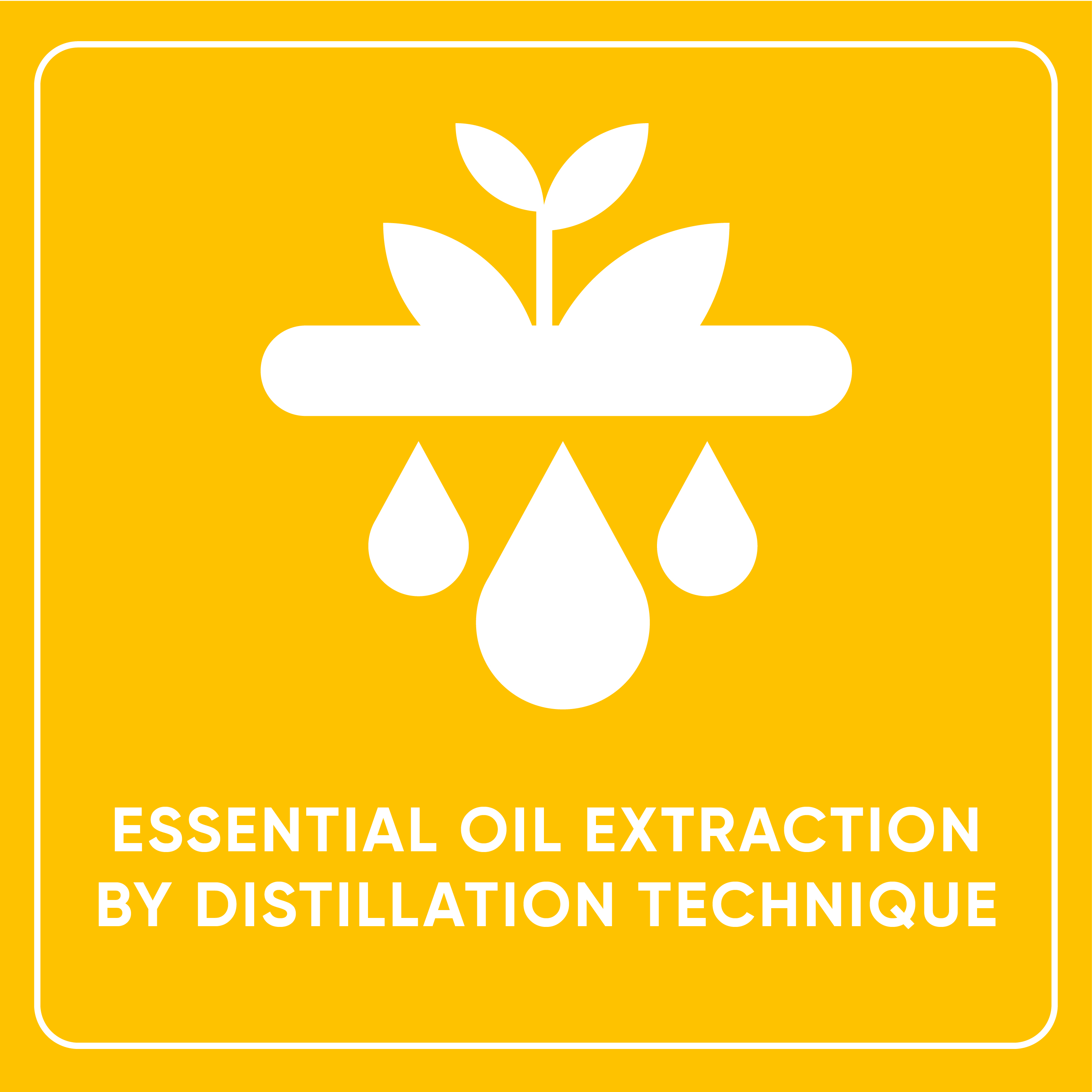 Essential Oil Extraction by Distillation Technique