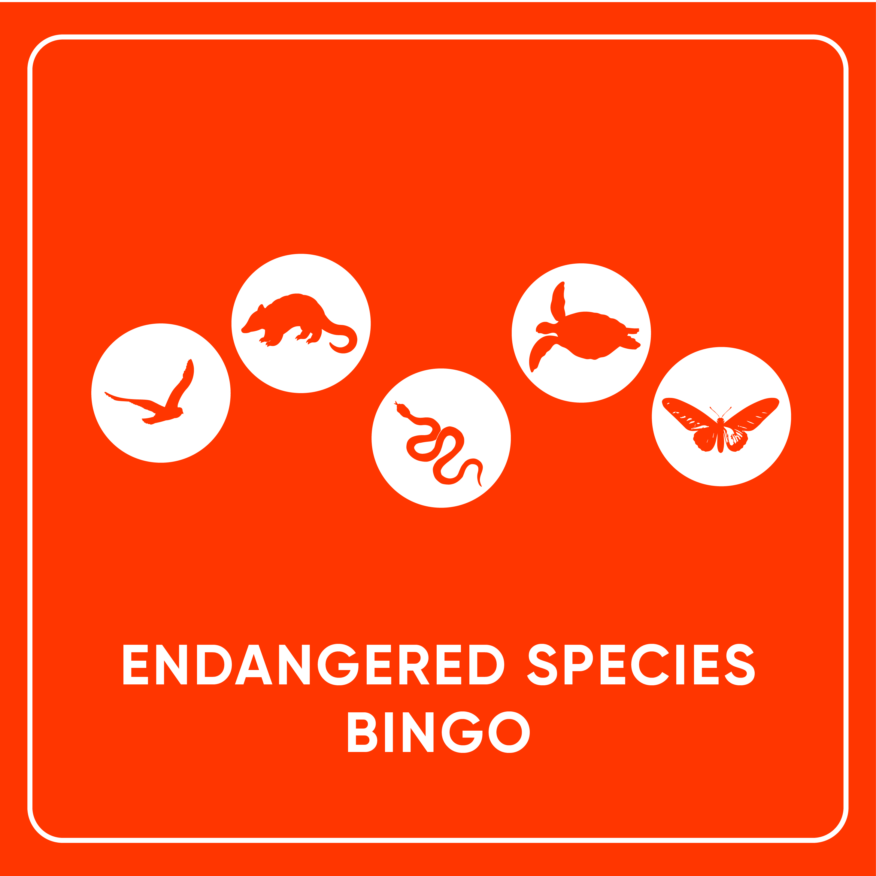 Endangered Species Bingo