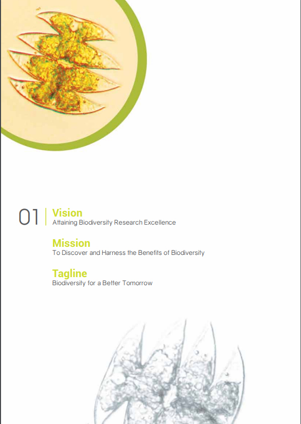 SBC Annual Report 2014