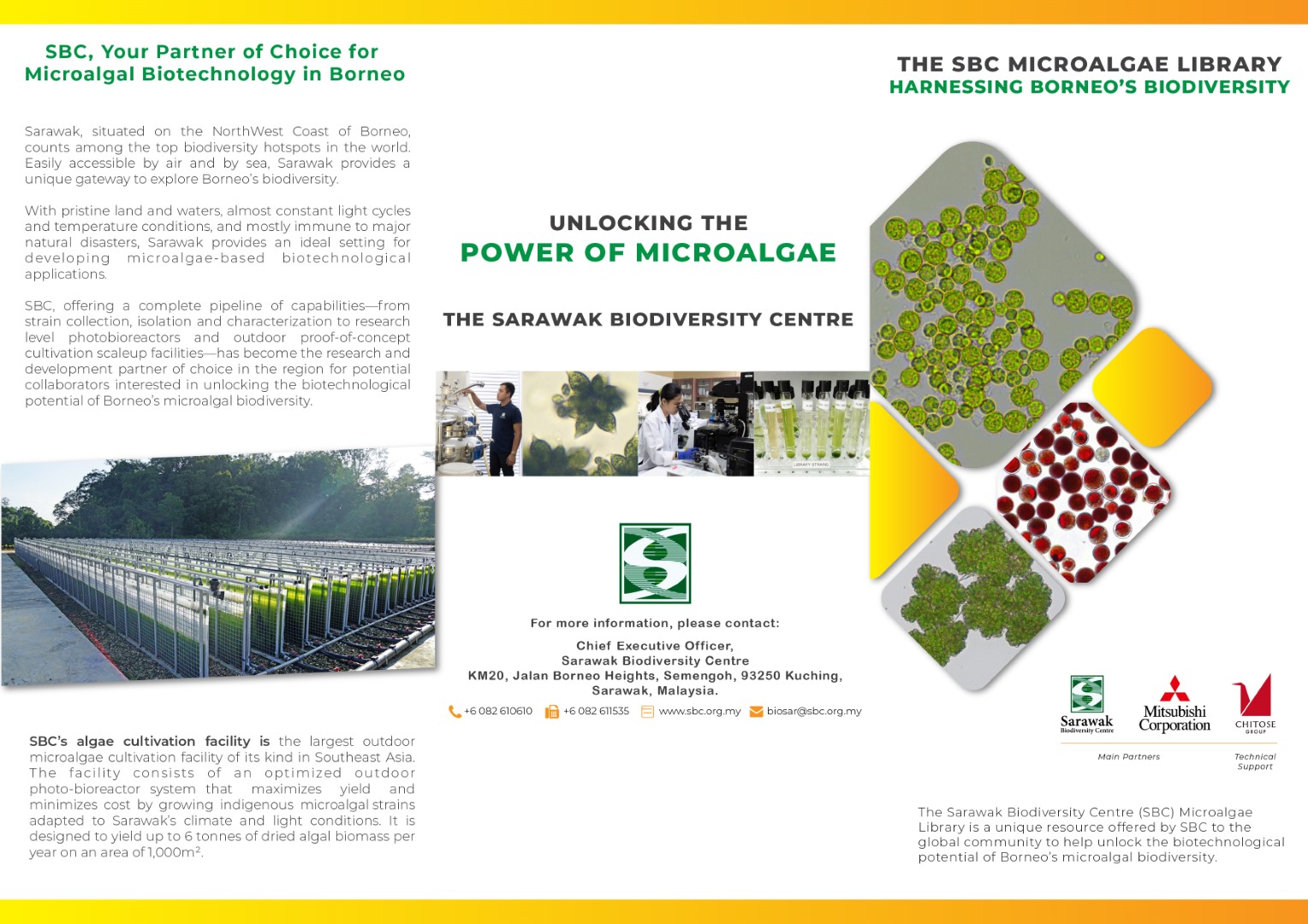 The SBC Microalgae Library