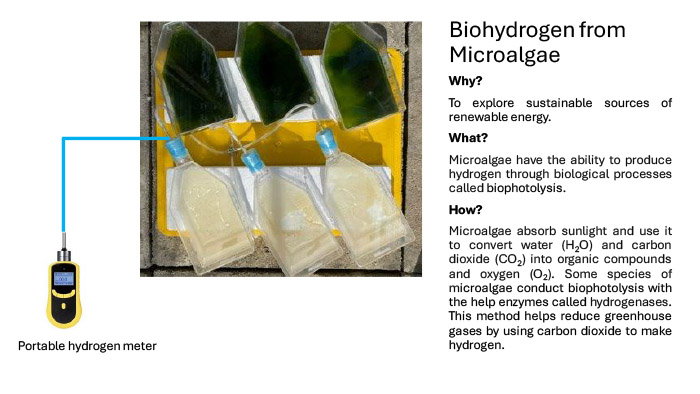 Biohydrogen from Microalgae
