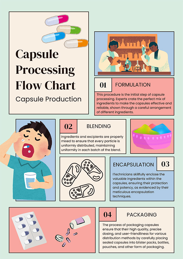 Capsule Processing Flow Chart