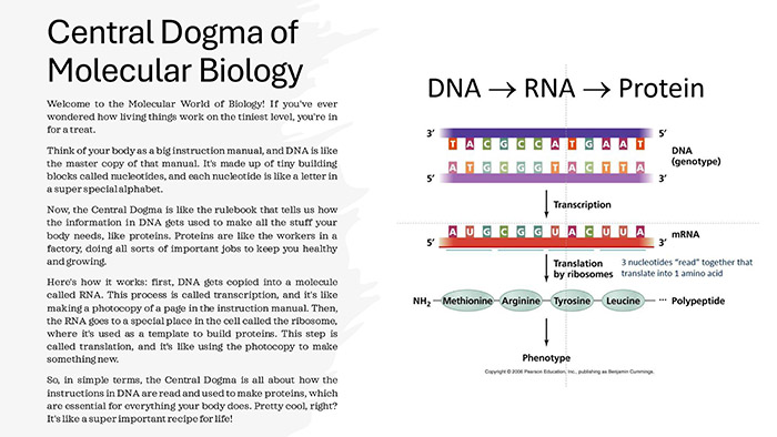Central Dogma of Molecular Biology