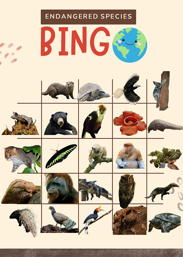 Endangered Species Bingo