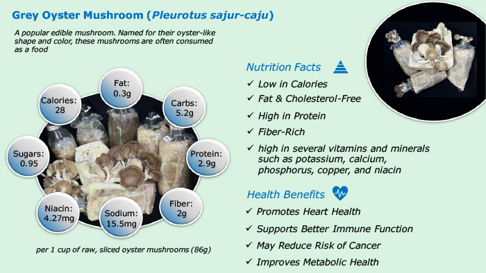 Know Your Edible Mushrooms