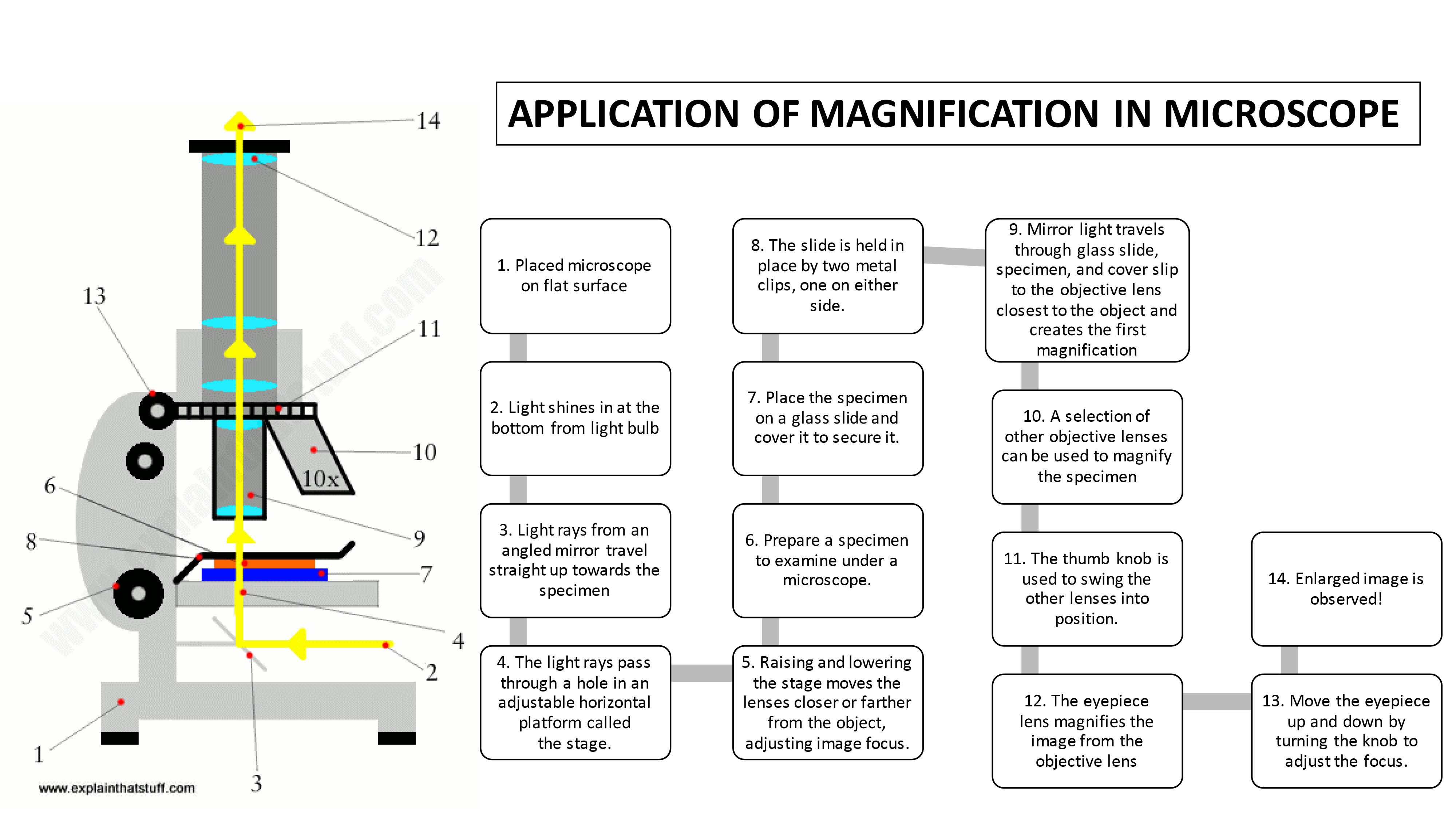 Magnification and Refraction