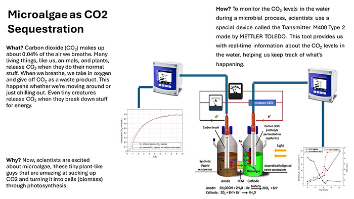Microalgae as CO2 Sequestrators