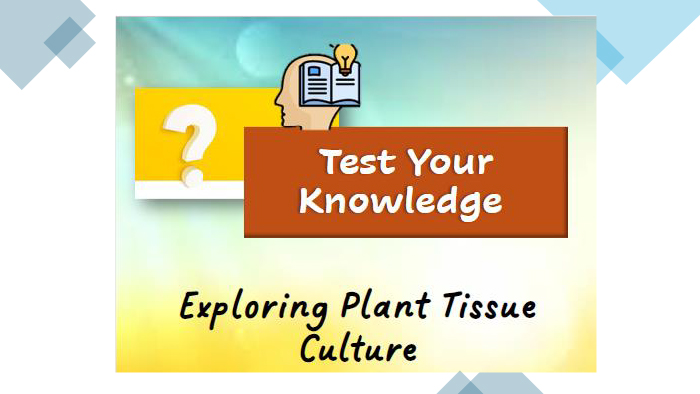 Exploring Plant Tissue Culture