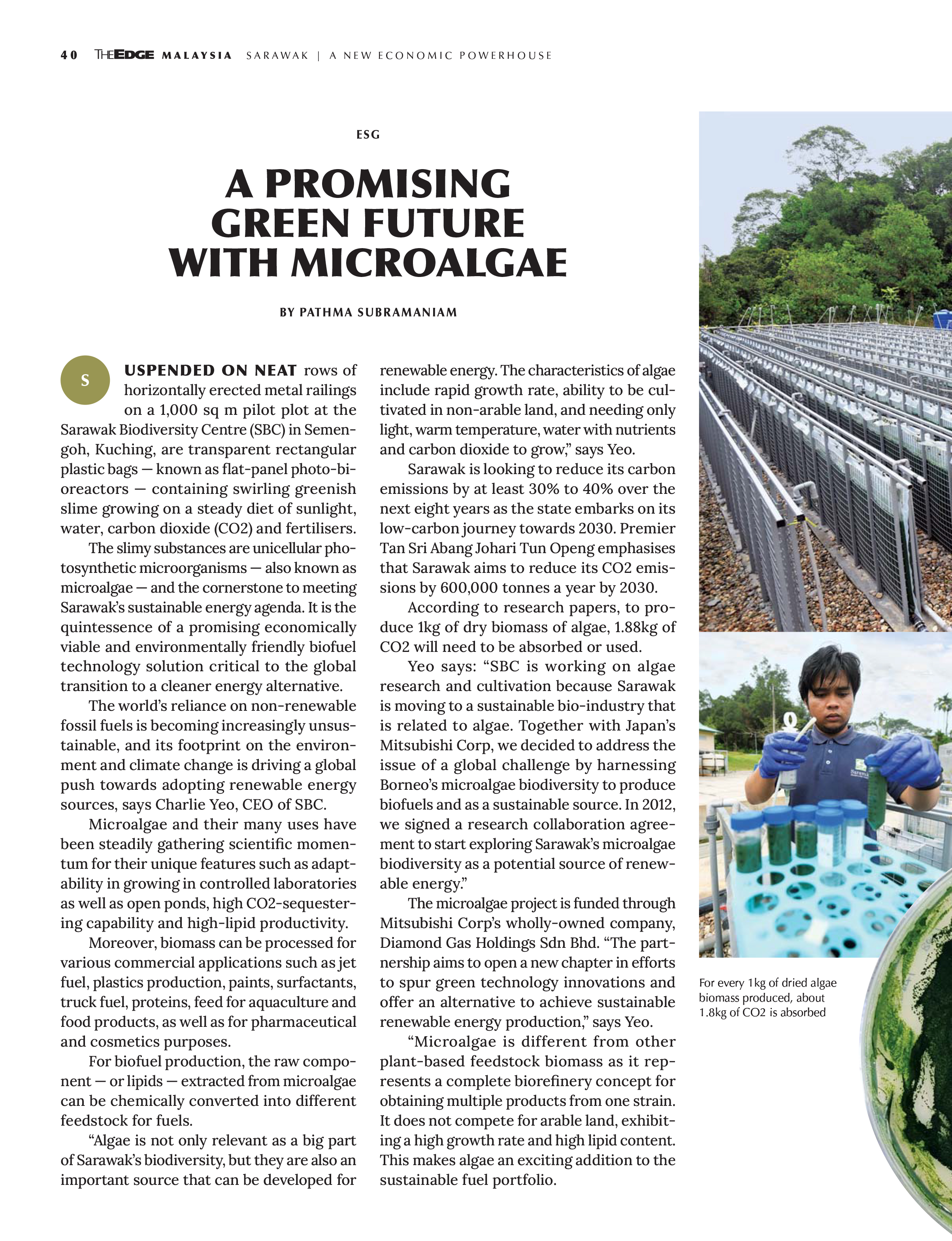 A Promising Green Future with Microalgae