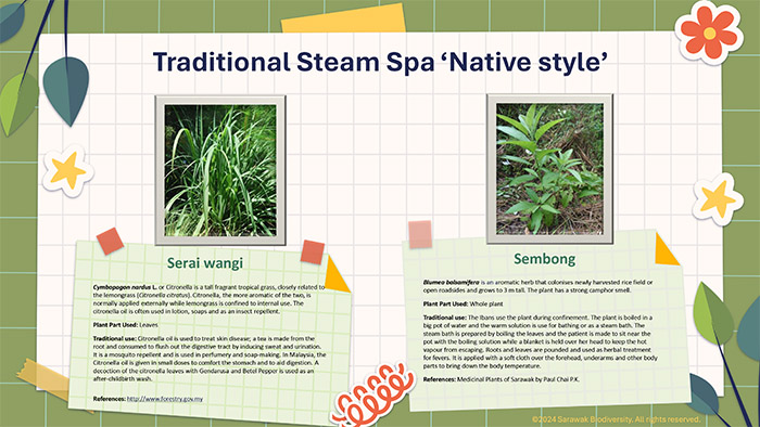 Traditional Steam Spa 'Native Style'