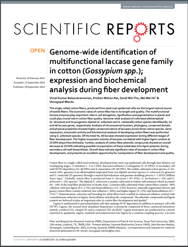 "Genome-wide identification of multifunction laccase gene family in cotton (Gossypium spp.); expression and biochemical analysis during fiber development"